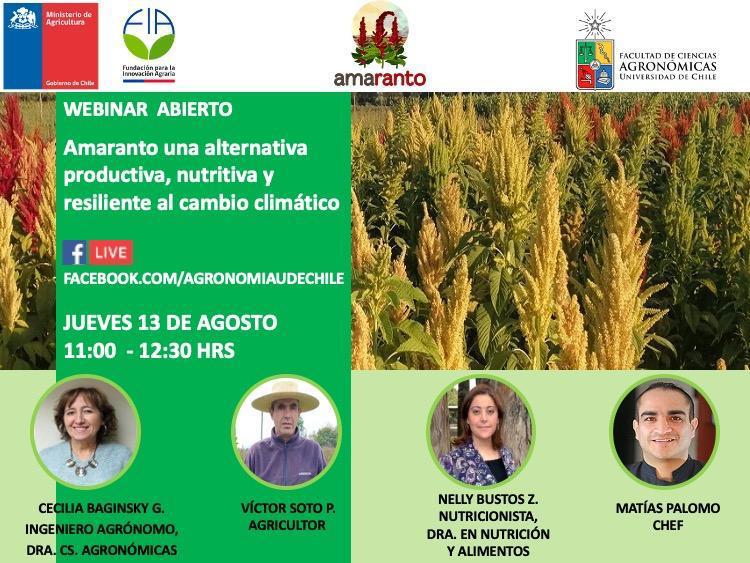 webinar